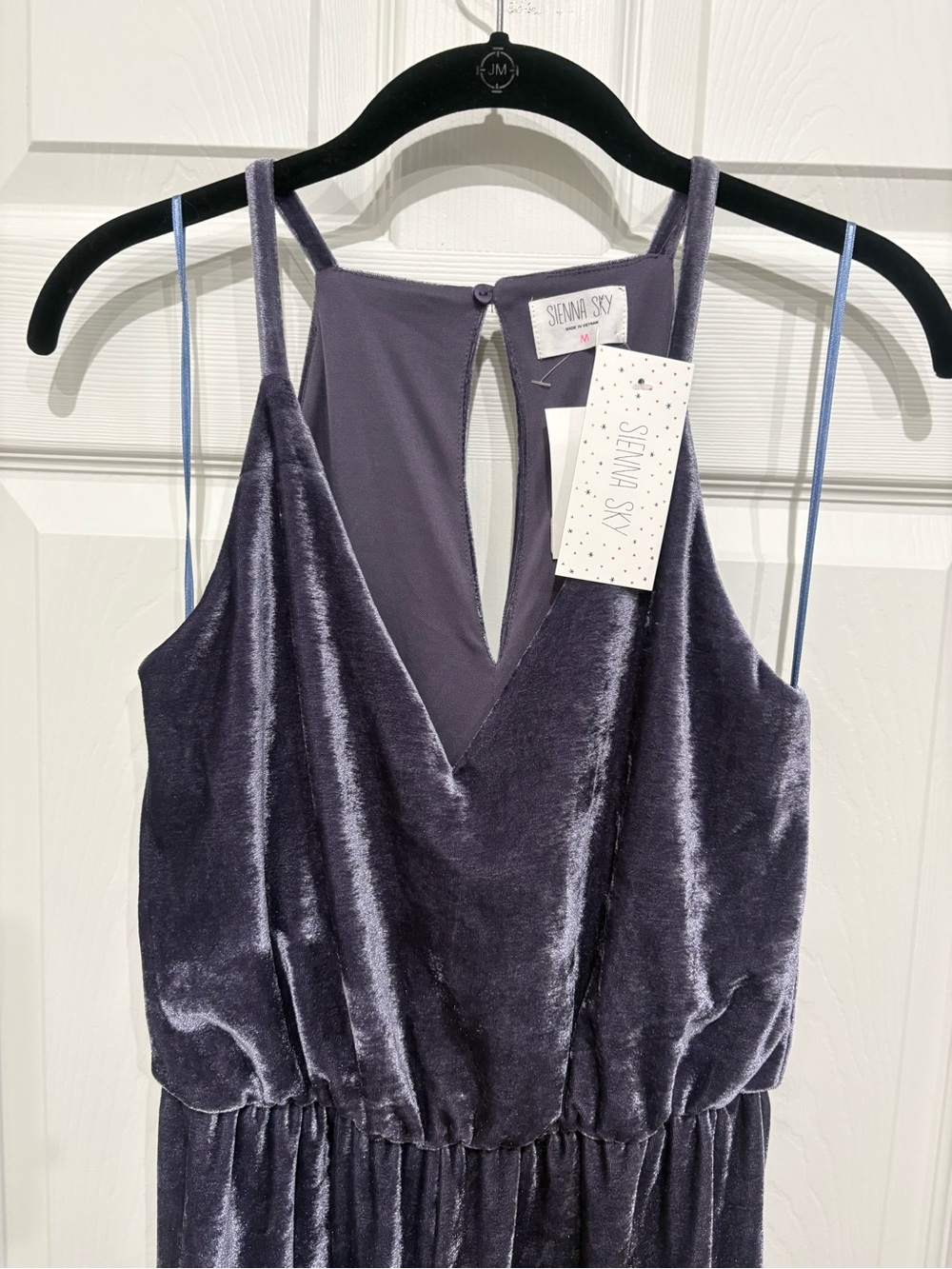 Sienna Sky Velvet Sleeveless V-Neck Jumpsuit